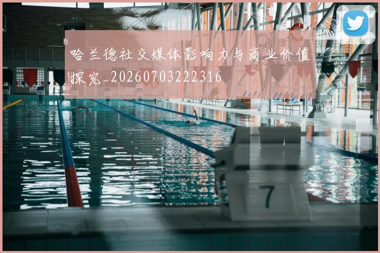 哈兰德社交媒体影响力与商业价值探究_20260703222316